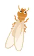 白アリのイラスト